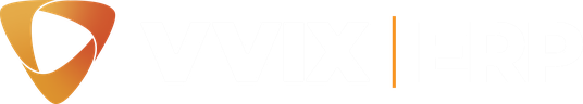 VVIX ERP
